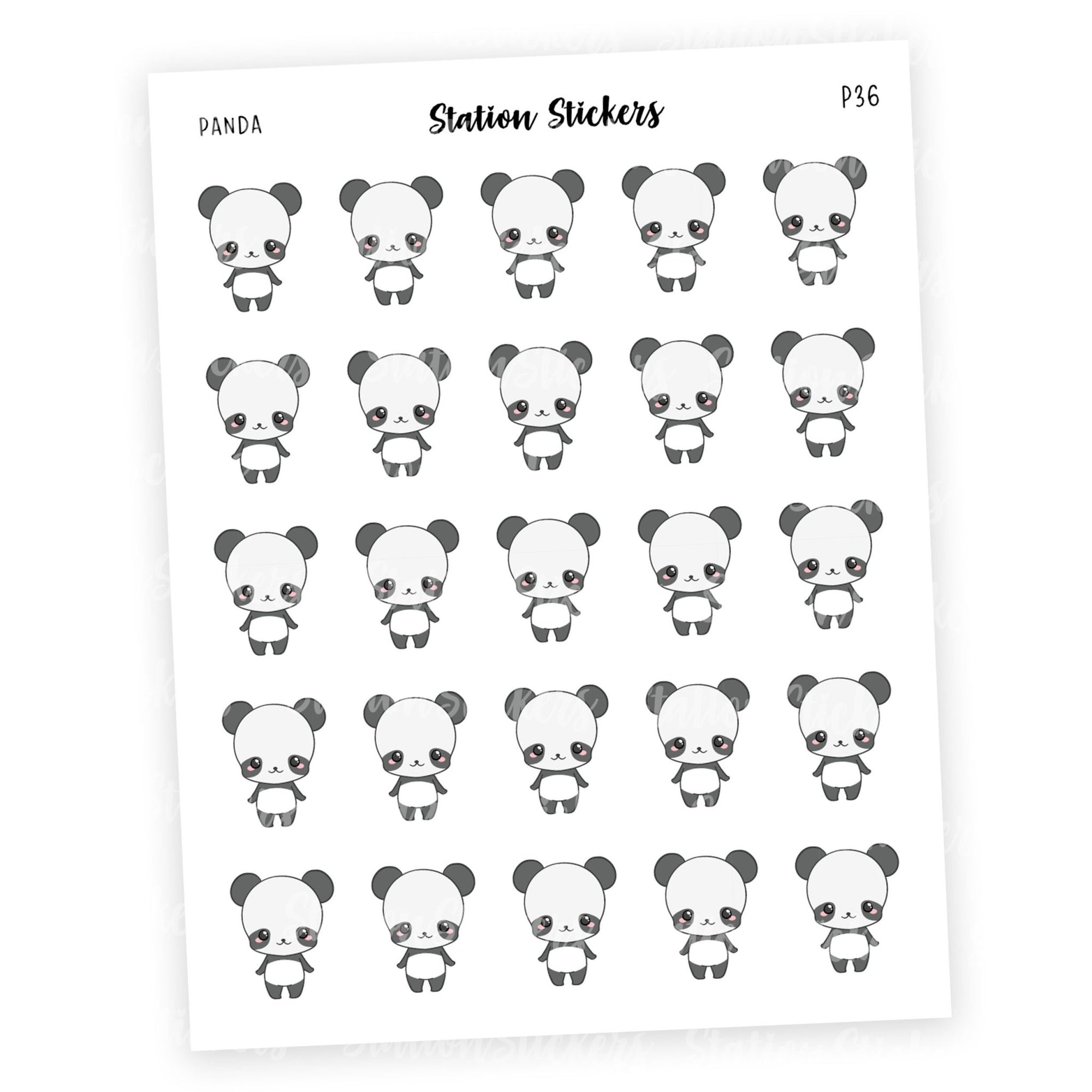 HELLO • PANDA [COMING 11/20] - Station Stickers